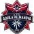 logo AQUILA PALMANOVA C5