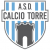 logo TRECENTO BONAVIGO C5