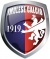 logo VICENZA C5