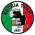 logo N-TEAM 2017 C5
