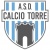 logo CALCIO TORRE C5