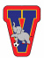 logo VALPO FUTSAL 